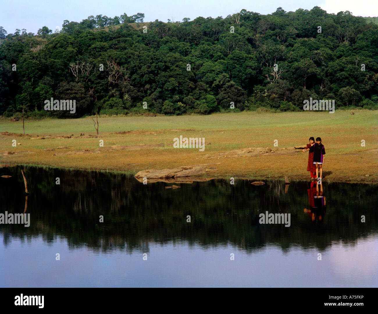 PERIYAR TIGER RESERVE THEKKADY KERALA Stock Photo - Alamy