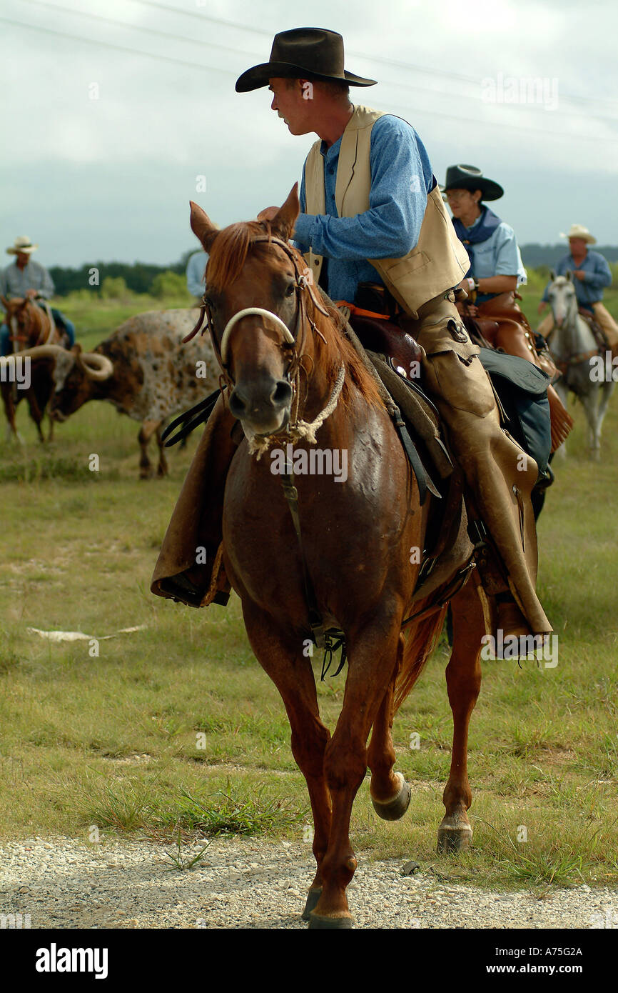 A cowboy riding a horse in Bandera Texas Stock Photo Alamy