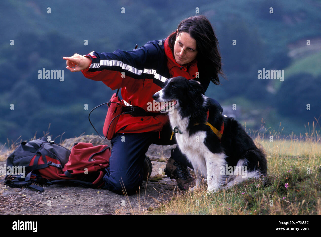 Joy Grindrod with her search dog Anna in the Lake District England UK Stock Photo