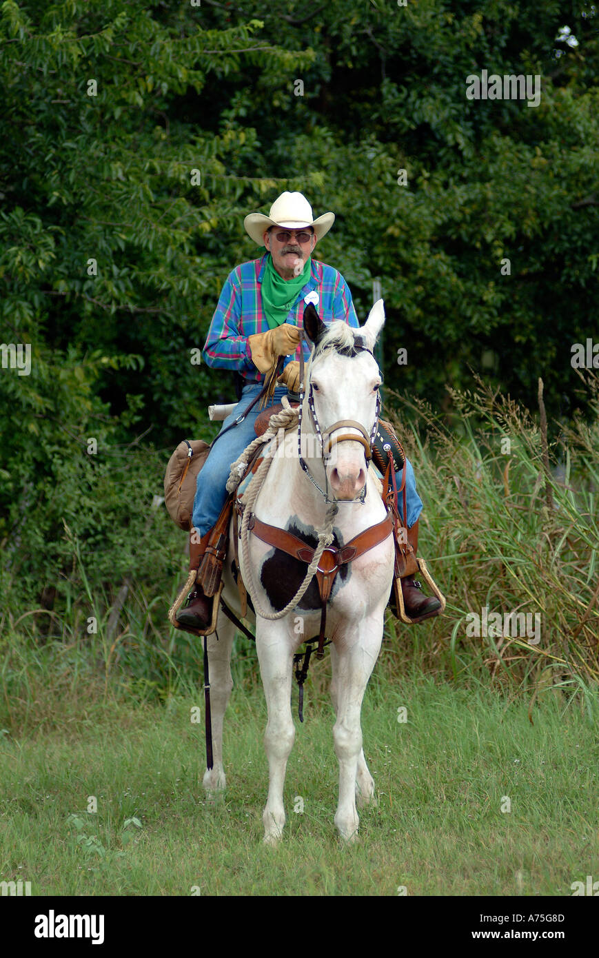 A cowboy riding a horse in Bandera Texas Stock Photo Alamy