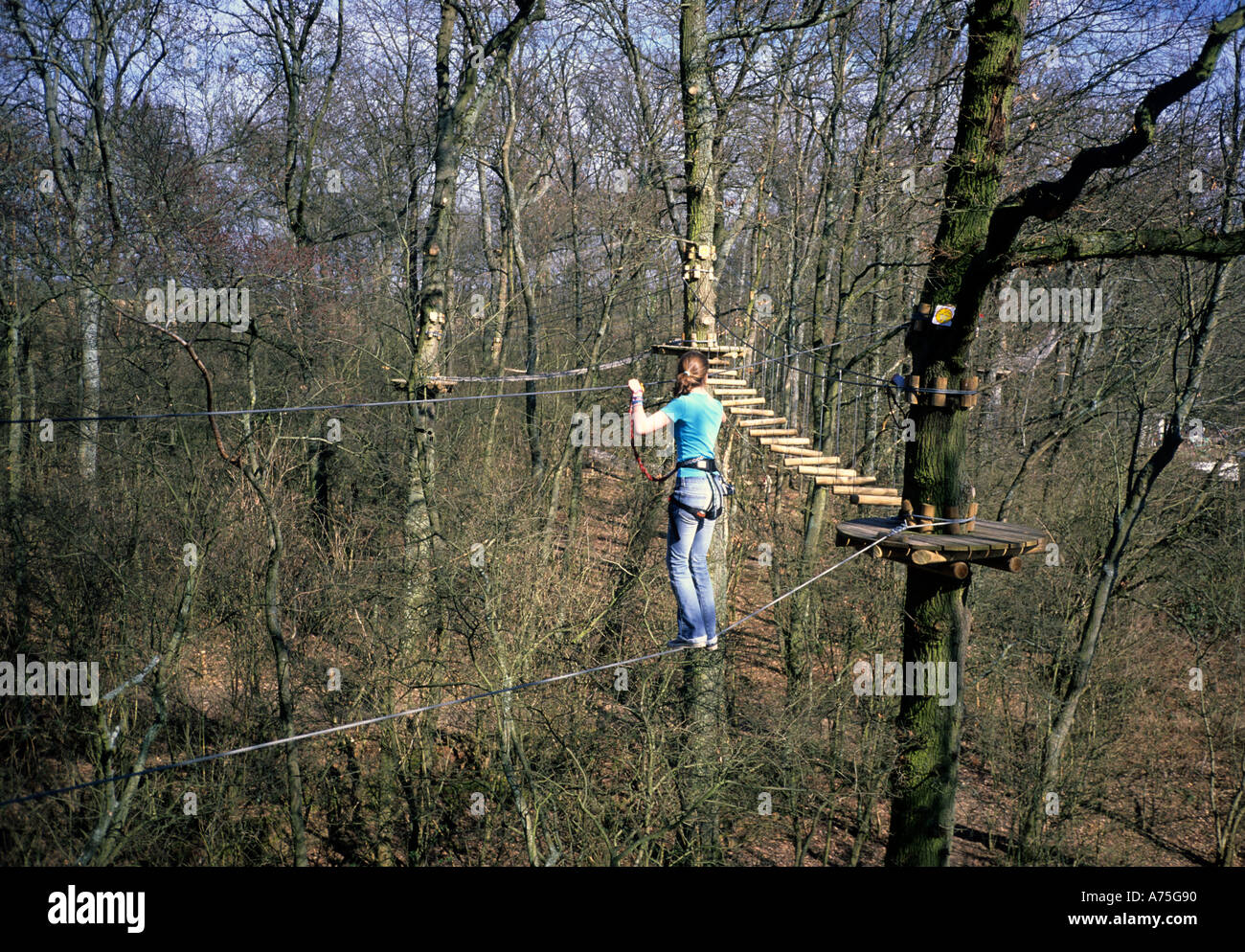 Treetop Adventure High Resolution Stock Photography And Images Alamy