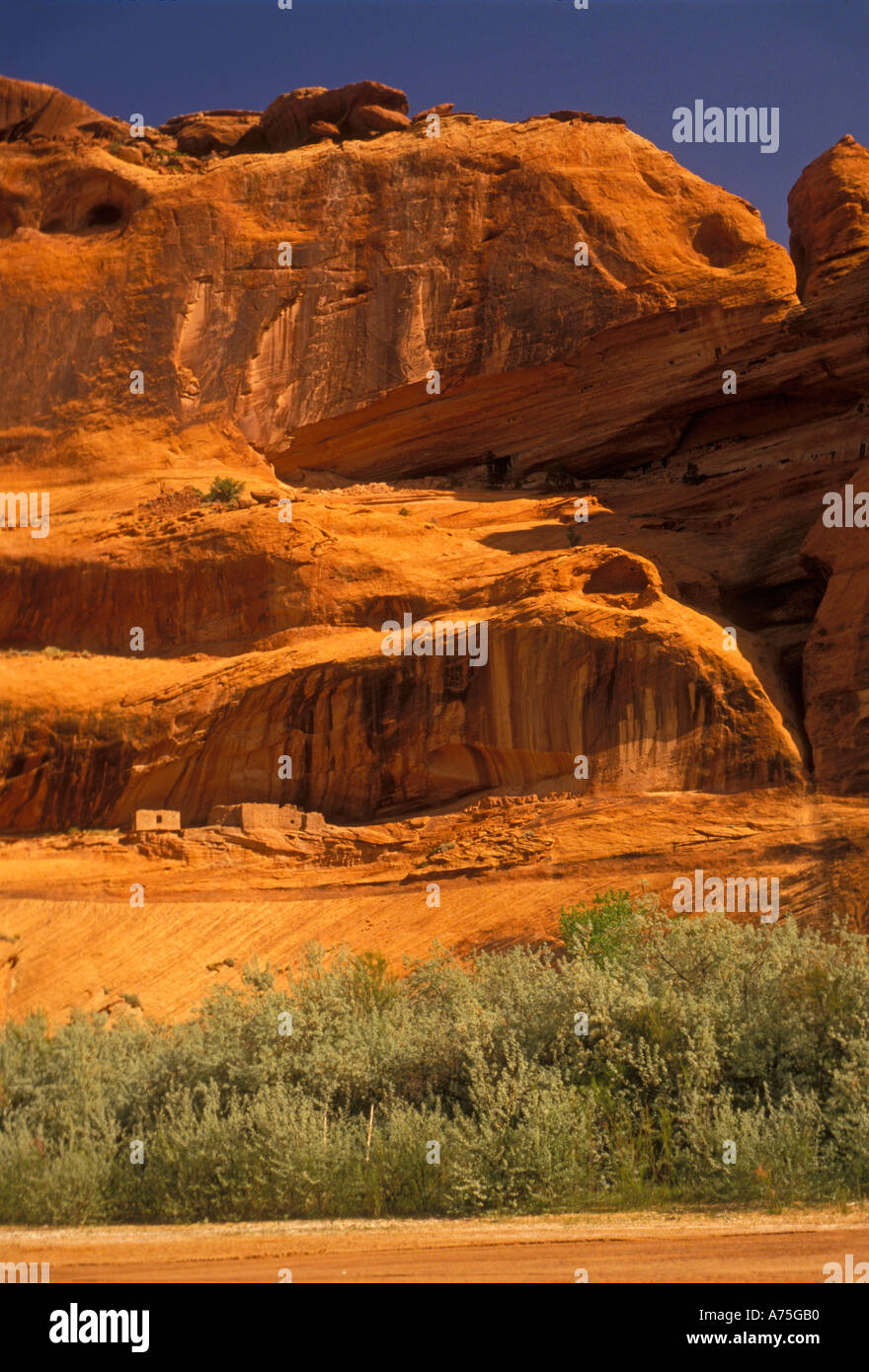 Junction Ruins, Anasazi cliff dwellings, Canyon de Chelly National