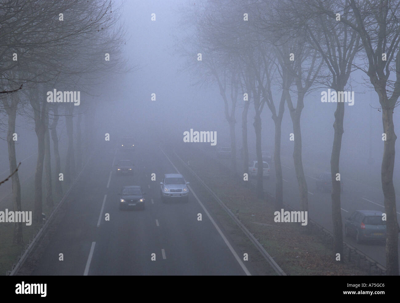 Highway driving in heavy fog traffic Stock Photo Alamy