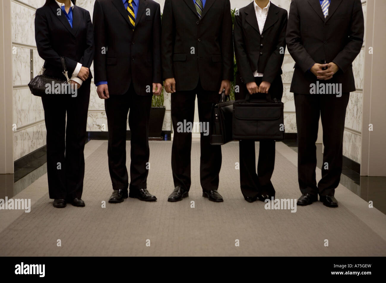 Businesspeople standing in a line Stock Photo - Alamy