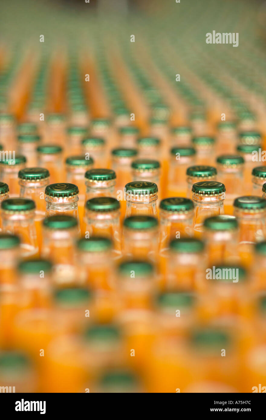 Bottles of soft dring on a production line Stock Photo