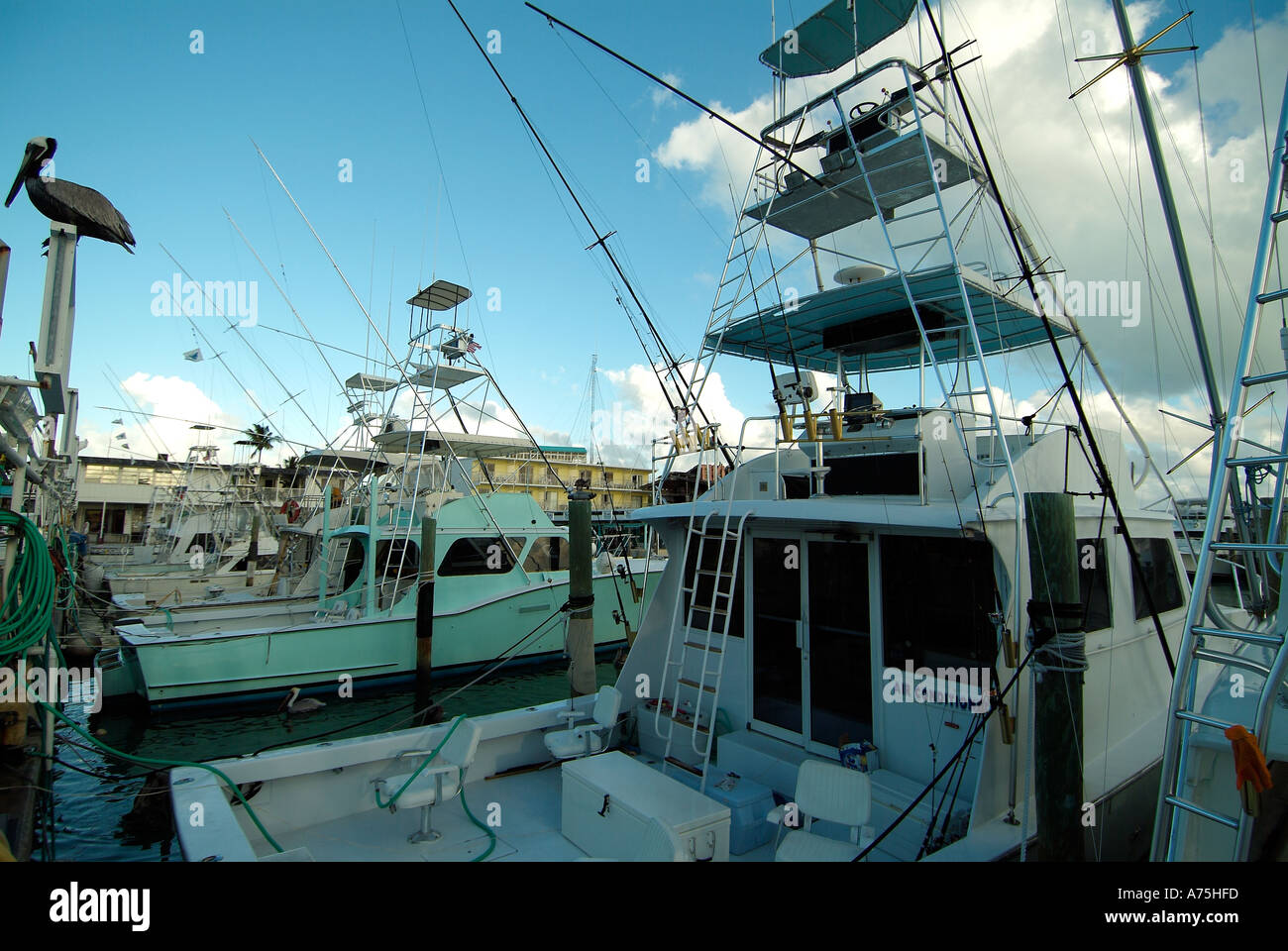 Key west florida charter fishing hi-res stock photography and