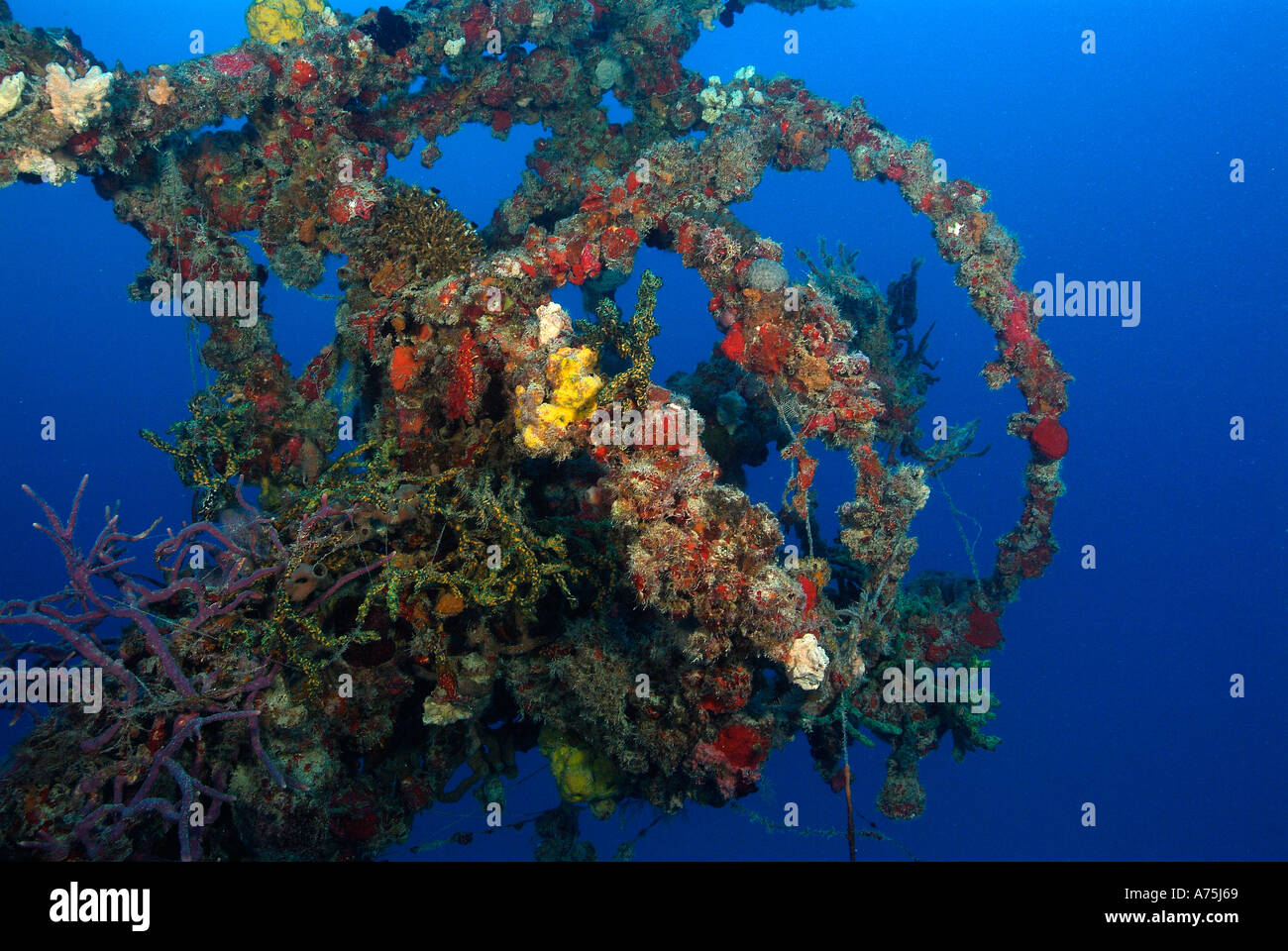The Eagle wreck Islamorada in Florida Stock Photo Alamy