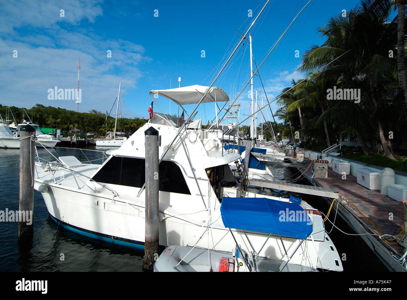 Motor boat at anchor in Key Largo Stock Photo Alamy