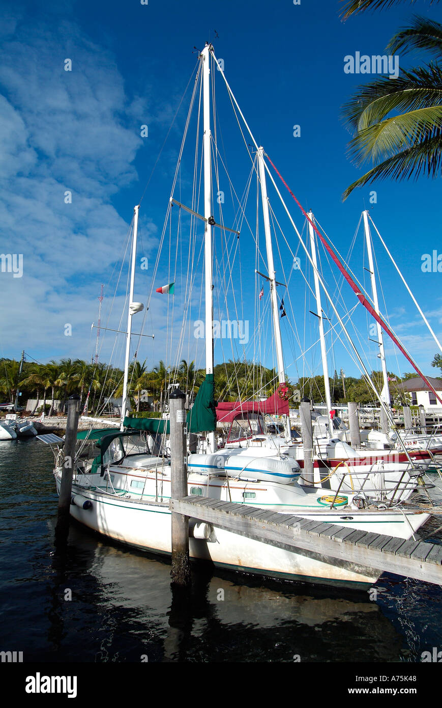 Sailing boat in the harbour of Key Largo Stock Photo Alamy