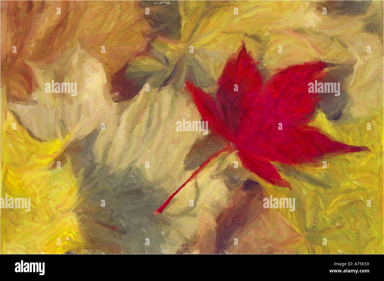 Autumn abstract Stock Photo