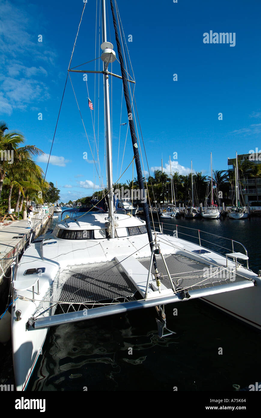 catamaran boat in the harbour of Key Largo Stock Photo Alamy