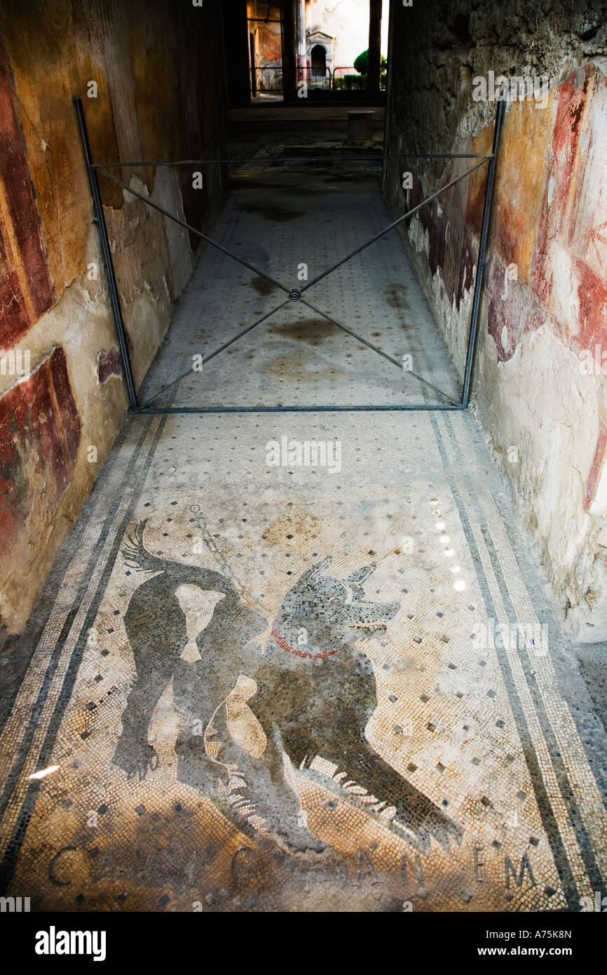 Pompeii, Campania, Italy; Cave Canem mosaic (Beware of the dog), House of the Tragic Poet Stock Photo