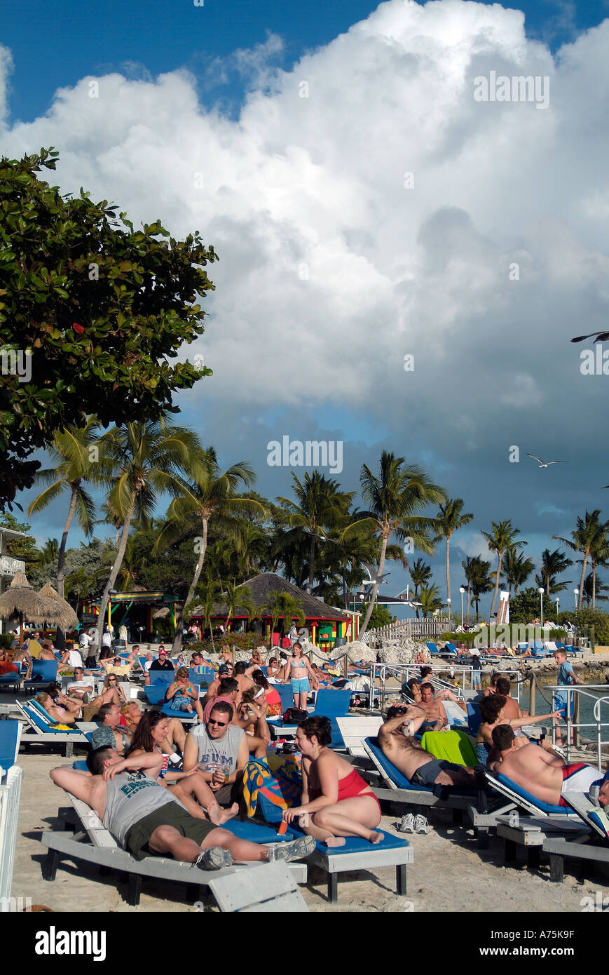 People taking a sun bath in Florida Stock Photo Alamy