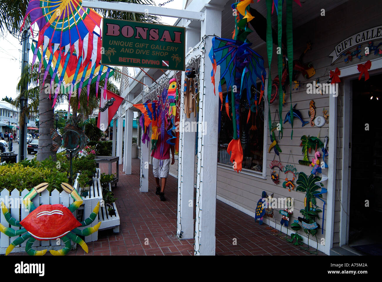 Typical gift store in Key West in Florida Stock Photo Alamy
