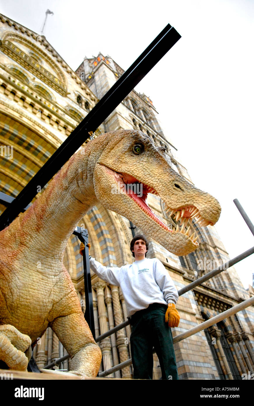 An animatronic Baryonix dinosaur is moved into the Natural History Museum by workers, South Kensington, London, England. April 2 Stock Photo
