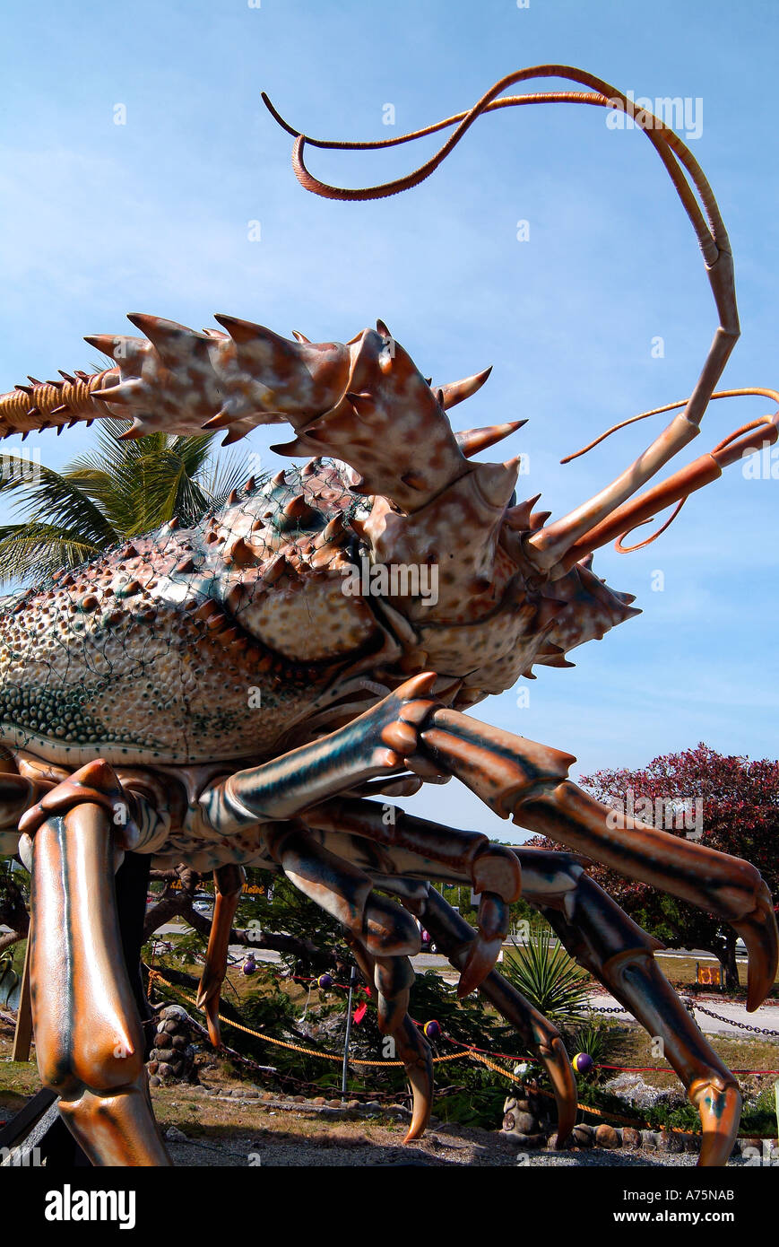 Giant lobster statue florida keys hires stock photography and images Alamy