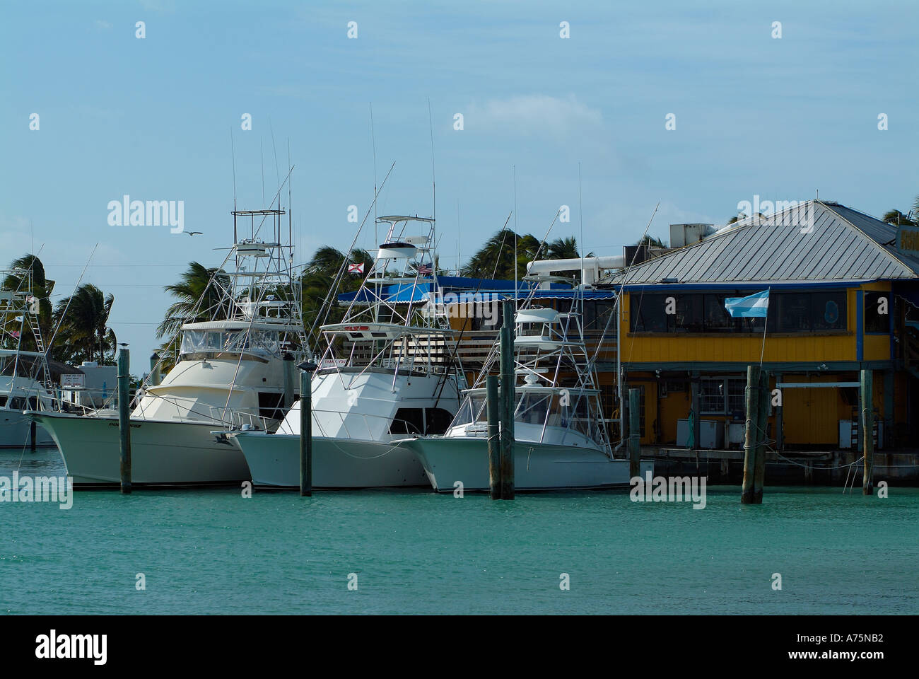 Charter fishing boats in Islamorada in Florida Stock Photo Alamy