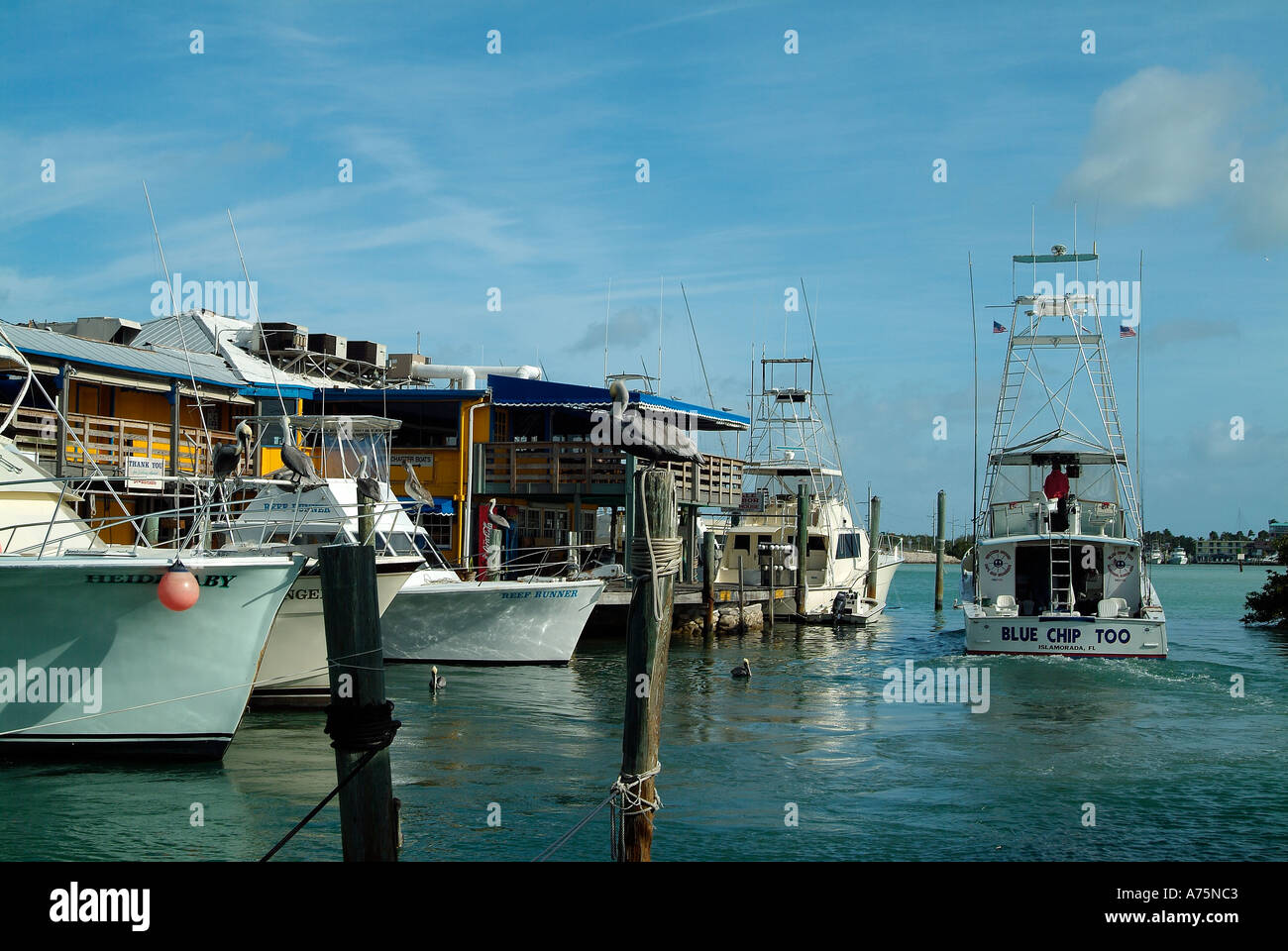 Charter fishing boats in Islamorada in Florida Stock Photo Alamy