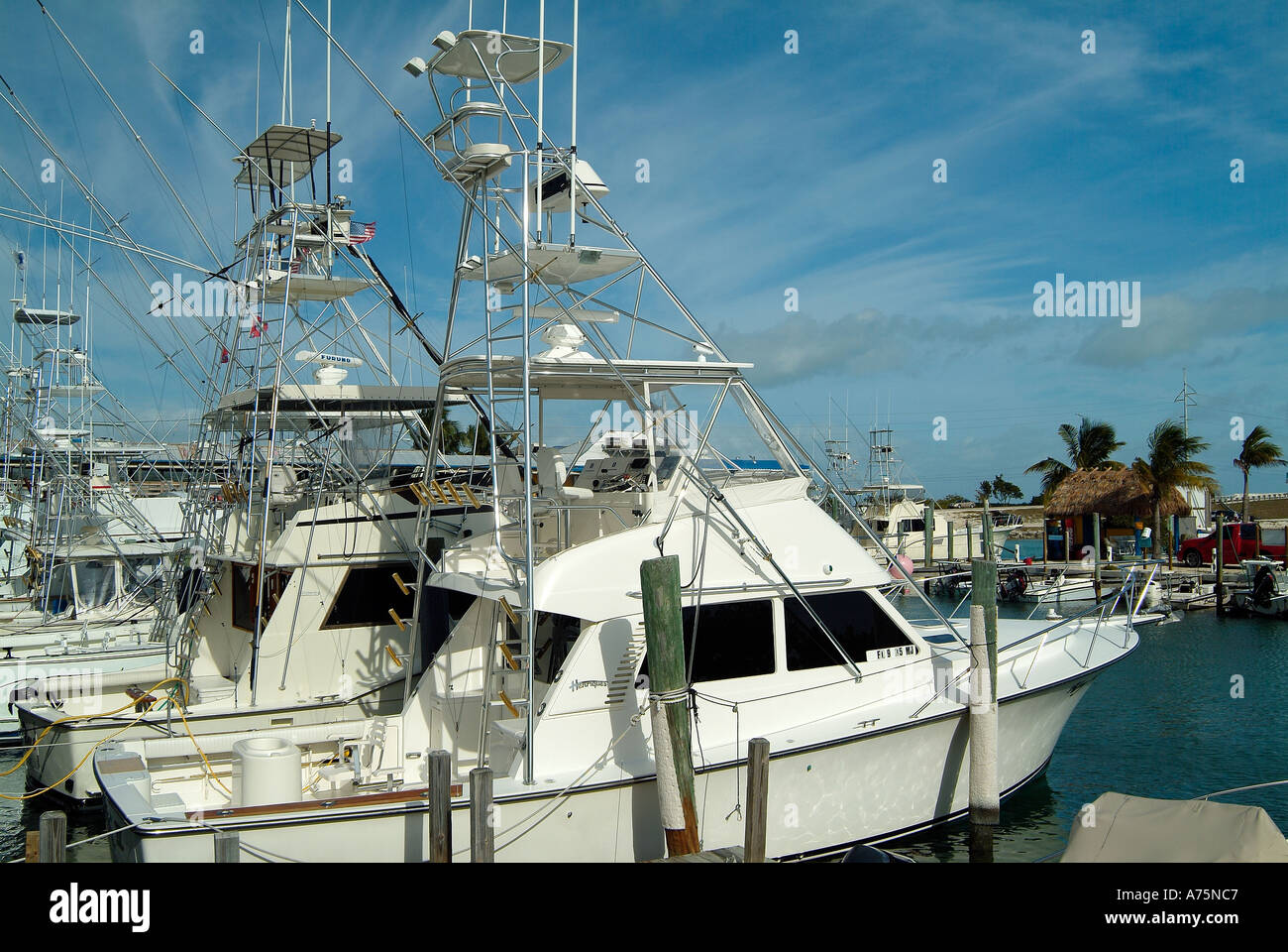 Charter fishing boats in Islamorada in Florida Stock Photo - Alamy