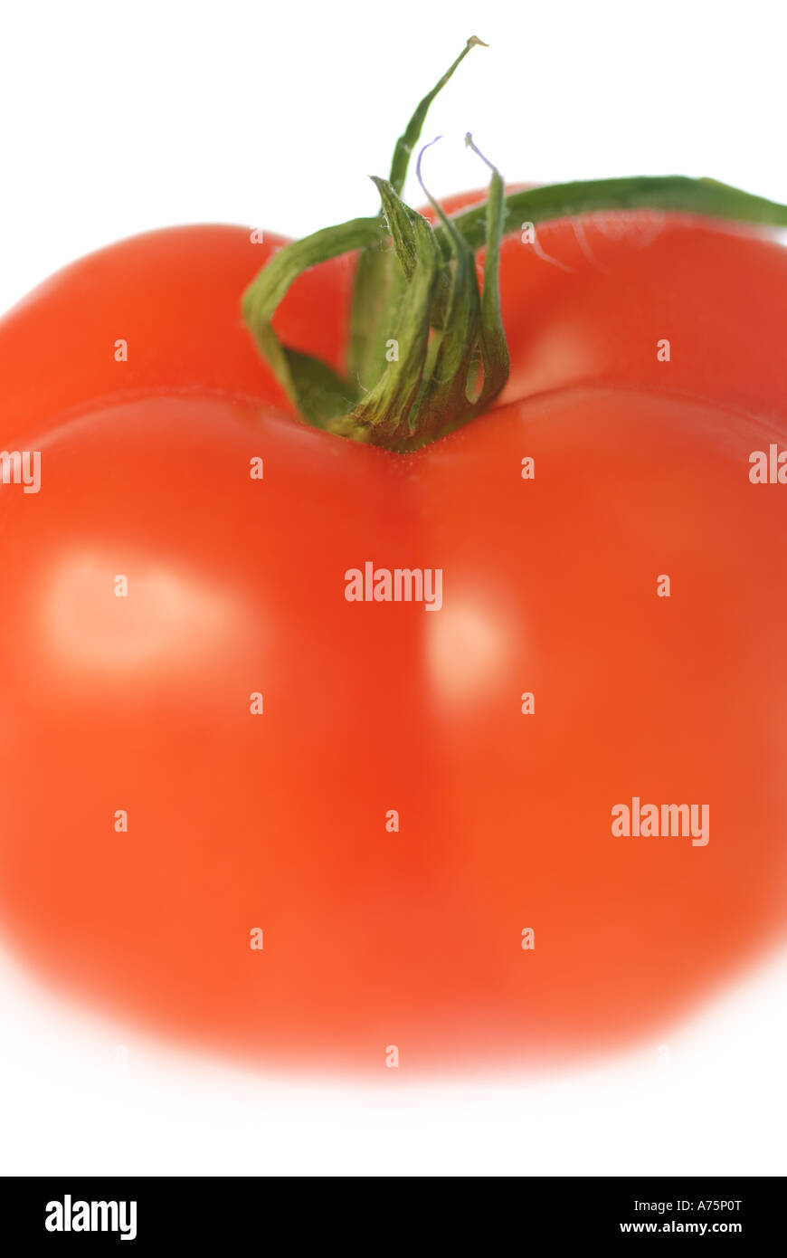 A fresh whole tomato close up. Stock Photo