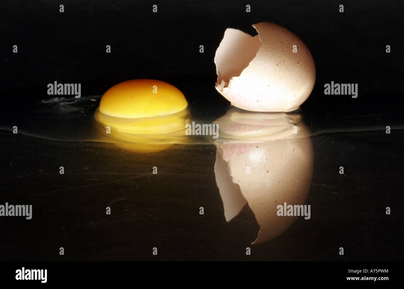 BROKEN  CHICKEN EGG AND SHELL WITH YOLK UK Stock Photo