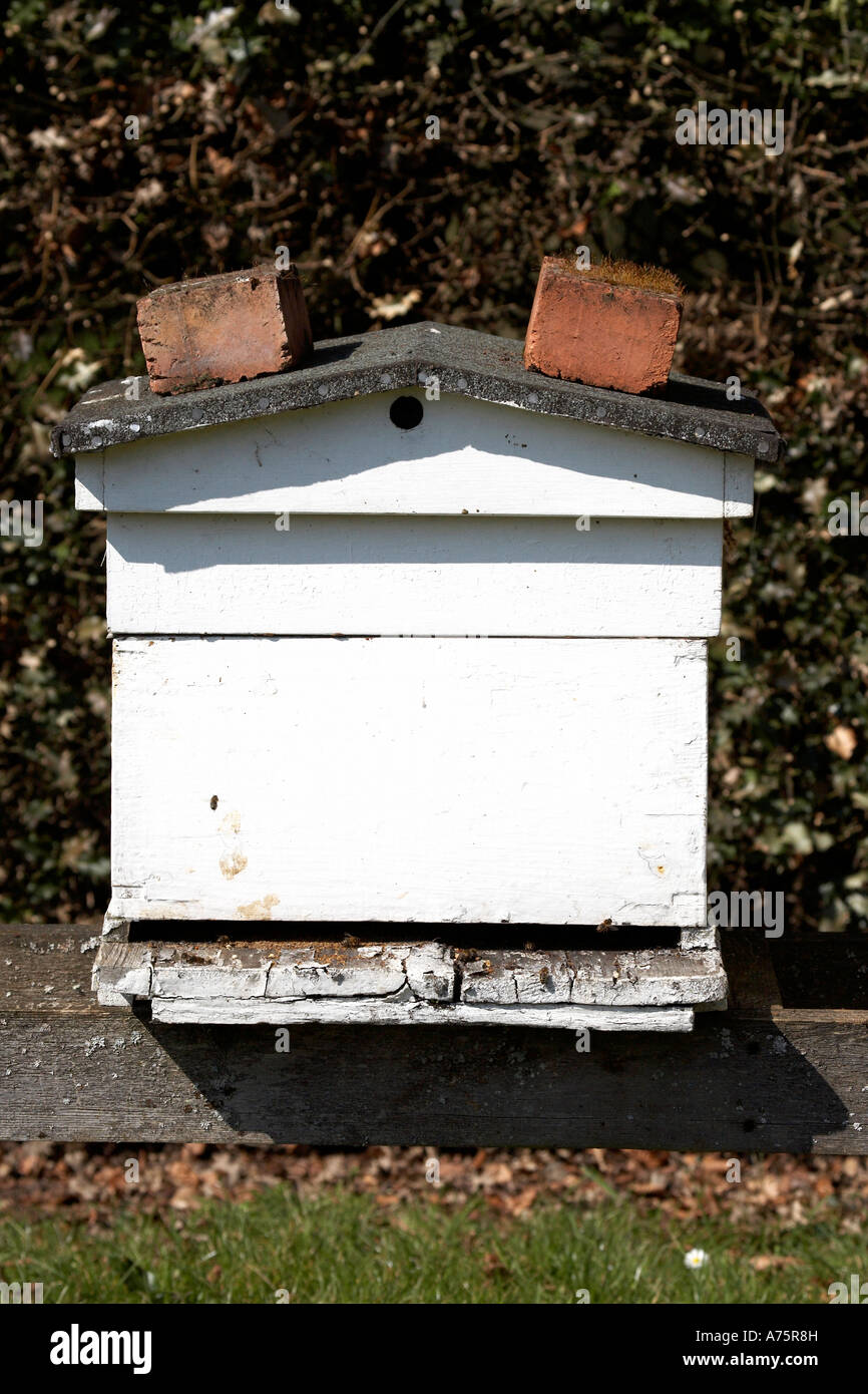 wooden beehive in warwickshire england uk Stock Photo
