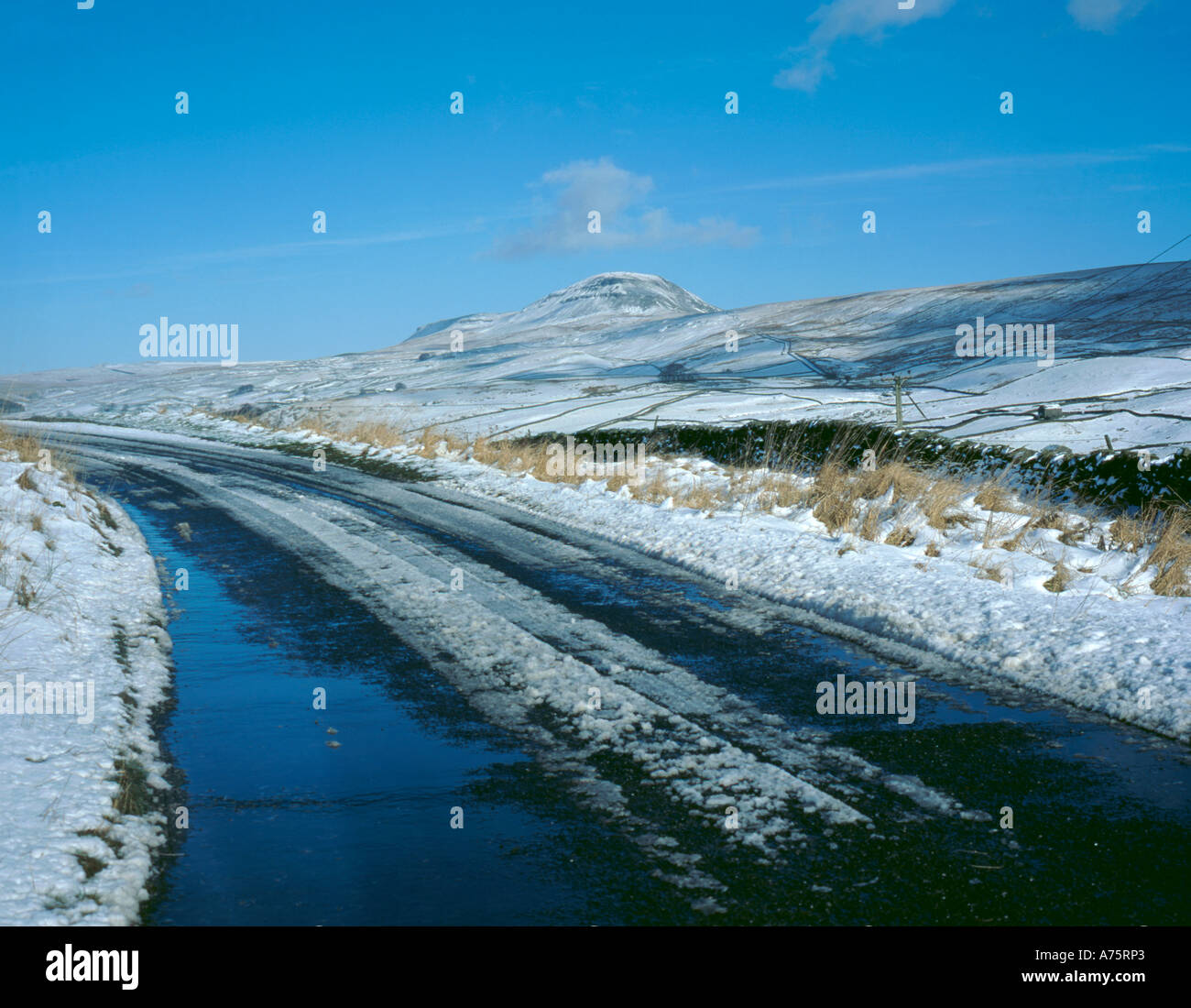 Pen-y-Ghent from Swarth Moor in winter, above Ribblesdale, Yorkshire Dales National Park, North Yorkshire, England, UK. Stock Photo