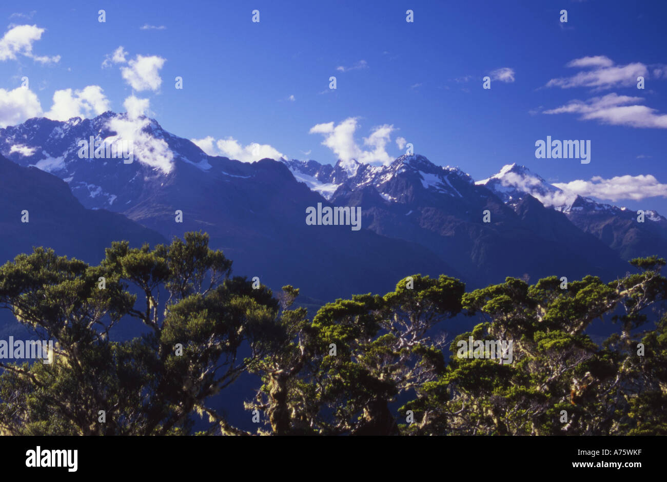 The Darran Mountains from Silver Beech Forest on The Routeburn Track Fiordland National Park South Island New Zealand Stock Photo