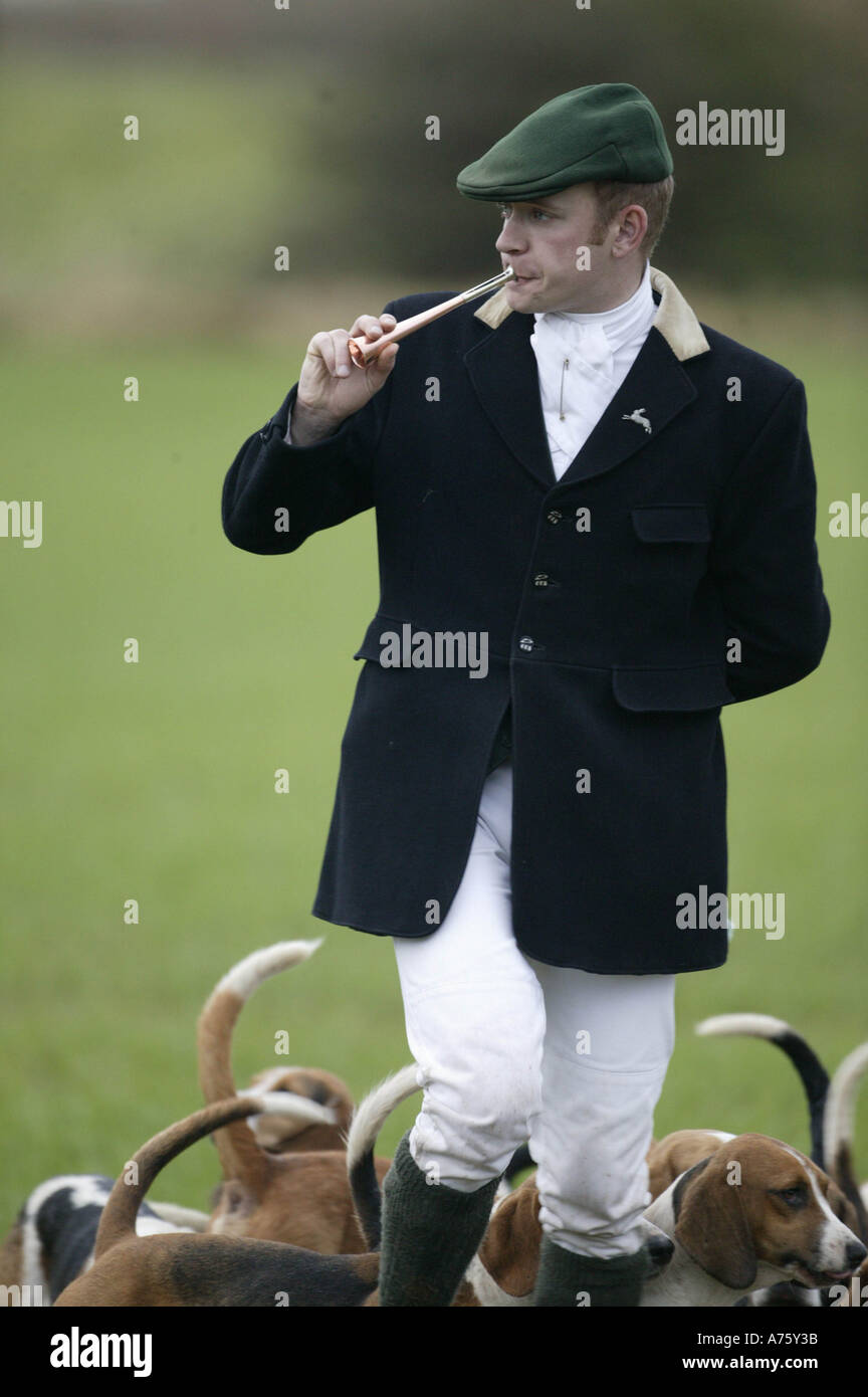 Hare Hunting with Basset Hounds Stock Photo Alamy