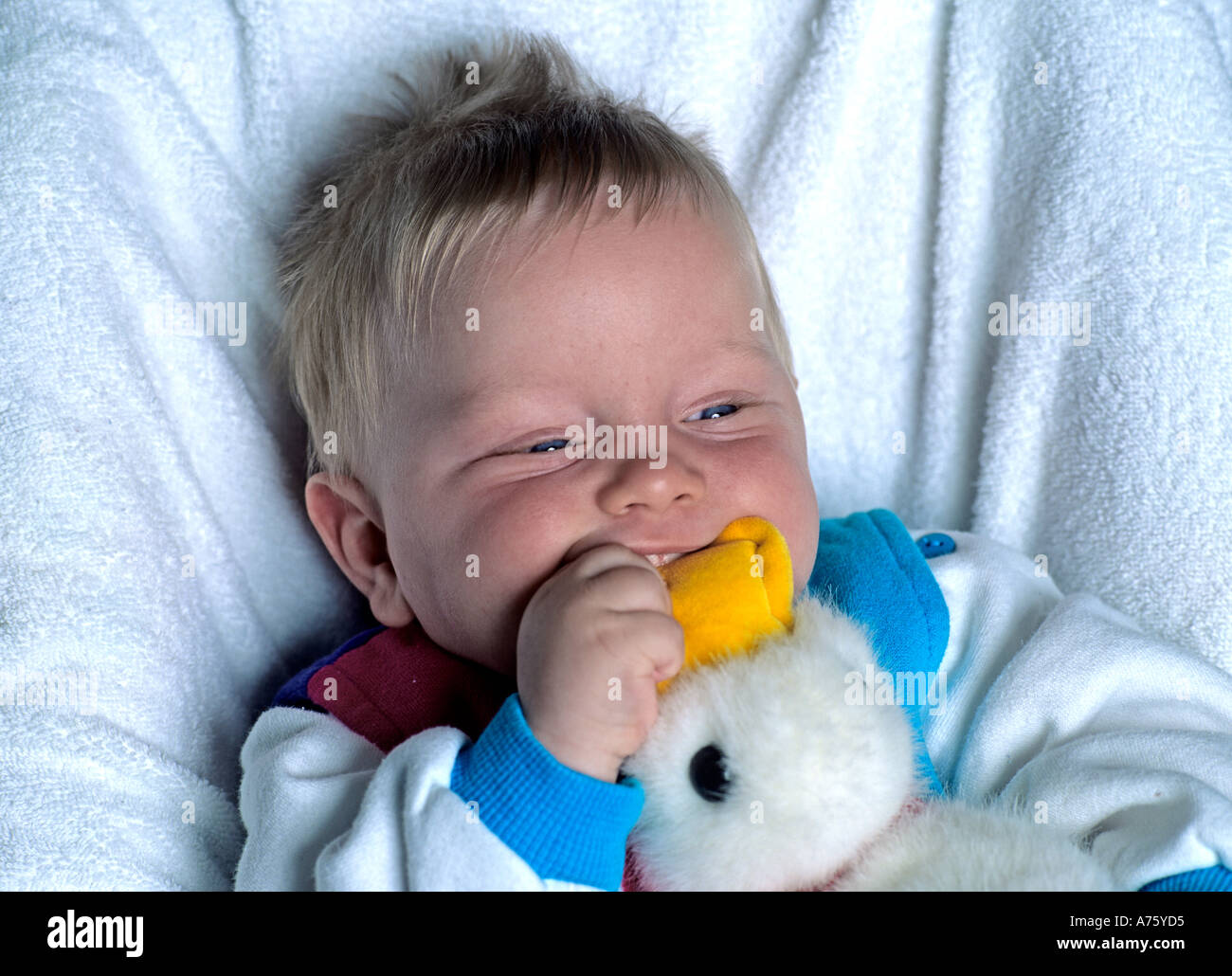 KIND 18 MONATE intelligence overview