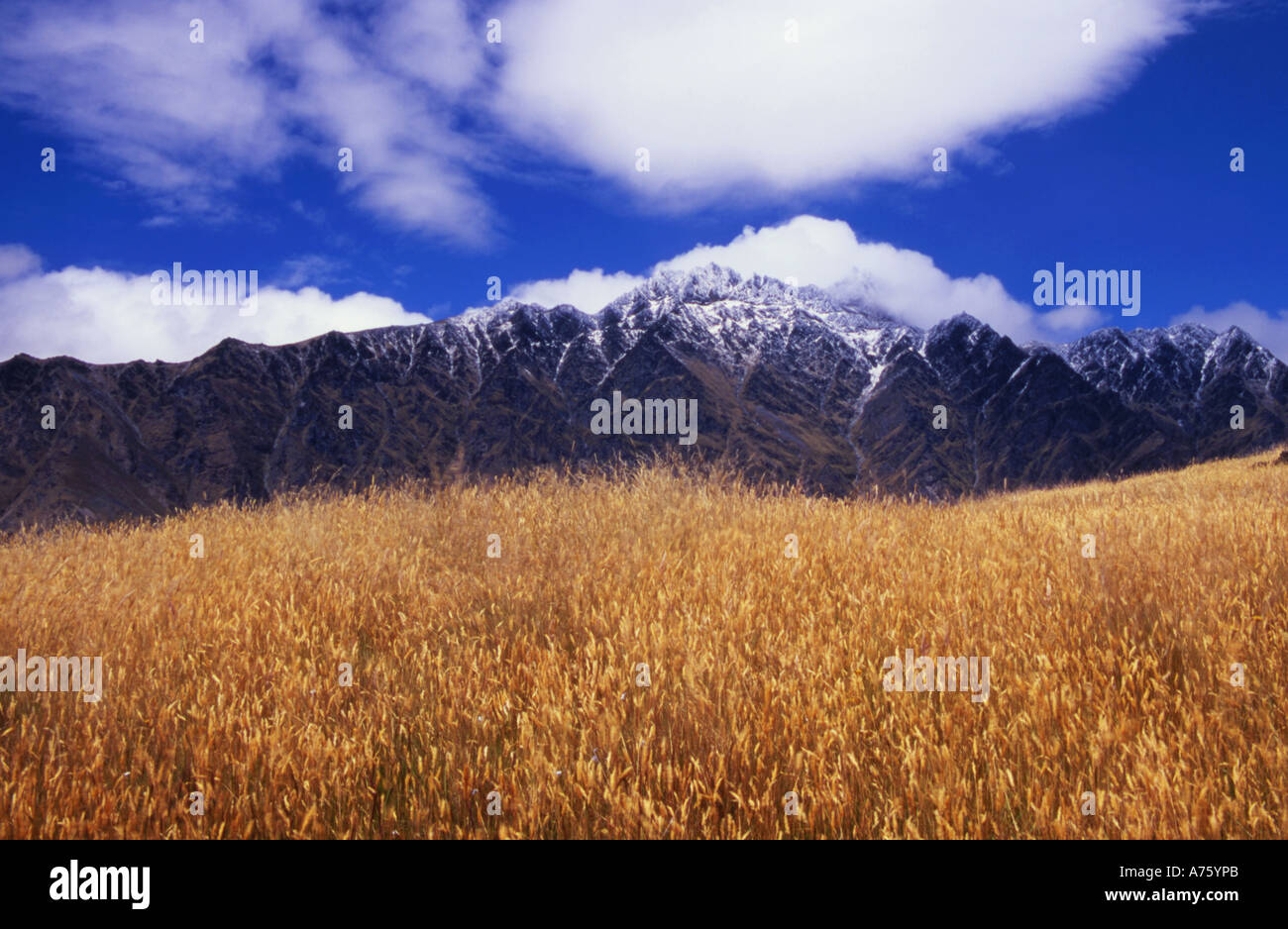 The Remarkables from Deer Heights Park near Queenstown South Island New Zealand Stock Photo