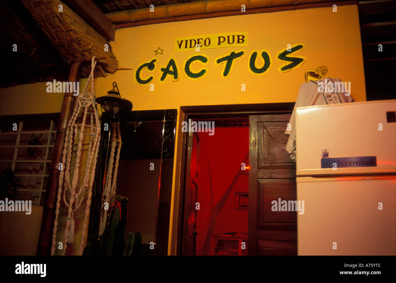 The cactus bar hi-res stock photography and images - Alamy