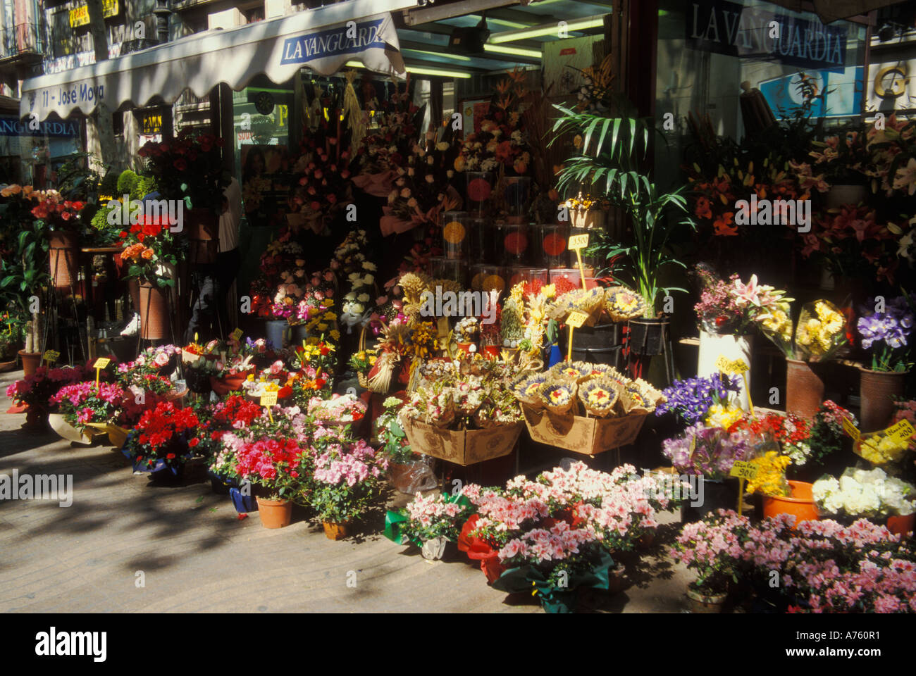 Flower market in barcelona hires stock photography and images Alamy
