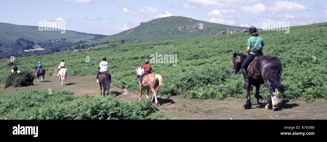 In The Moor Dartmoor countryside landscape group of people