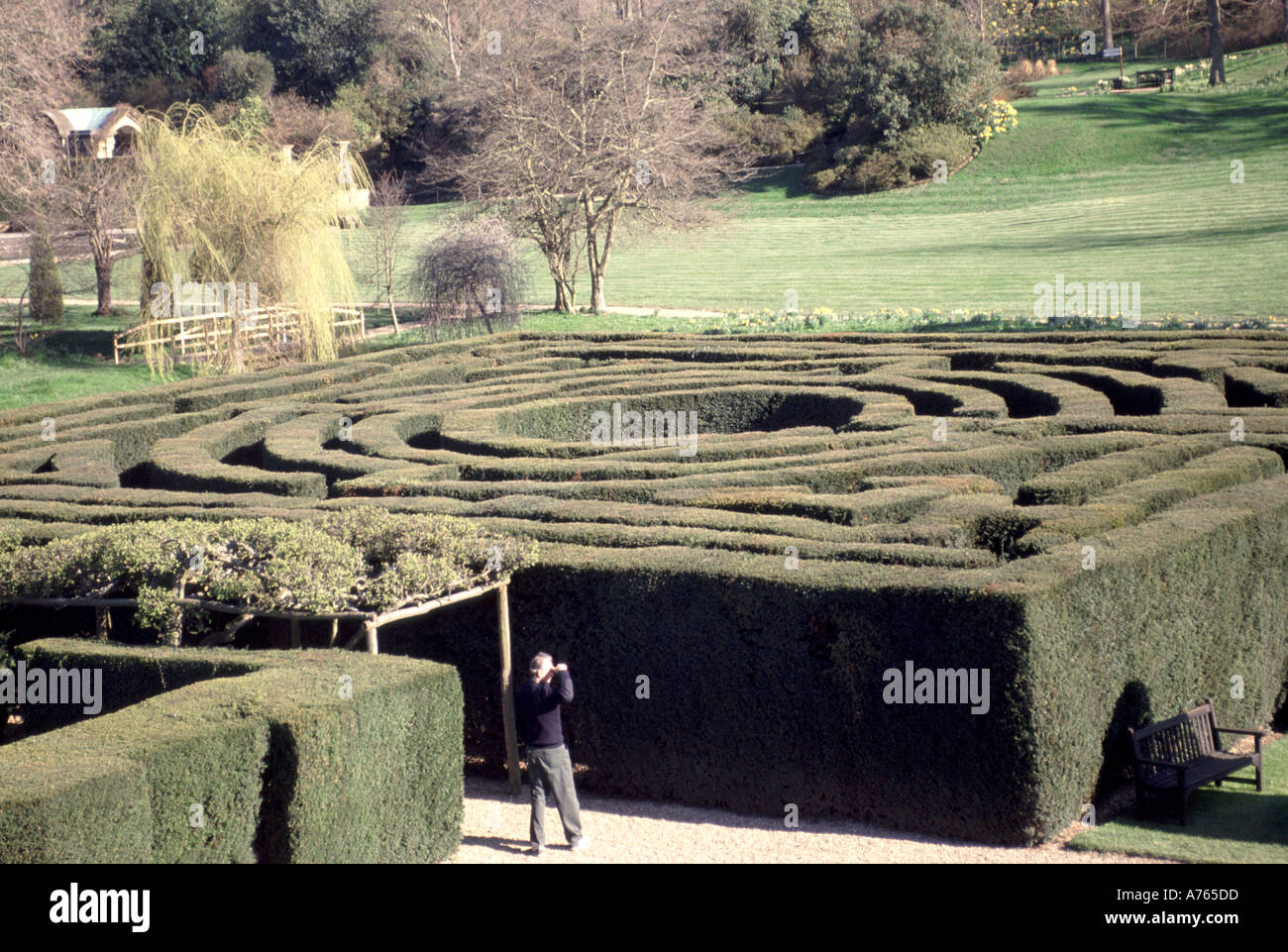 Yew maze view from above looking down on possible concept image find your way out of that meet in the middle get lost Hever Castle Kent England UK Stock Photo