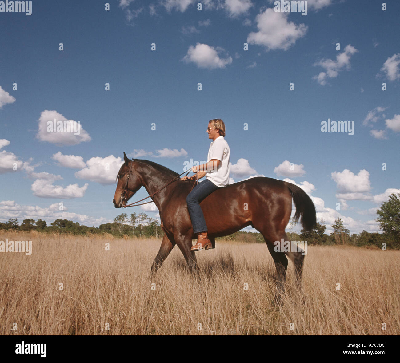 Riding horse bareback hires stock photography and images Alamy