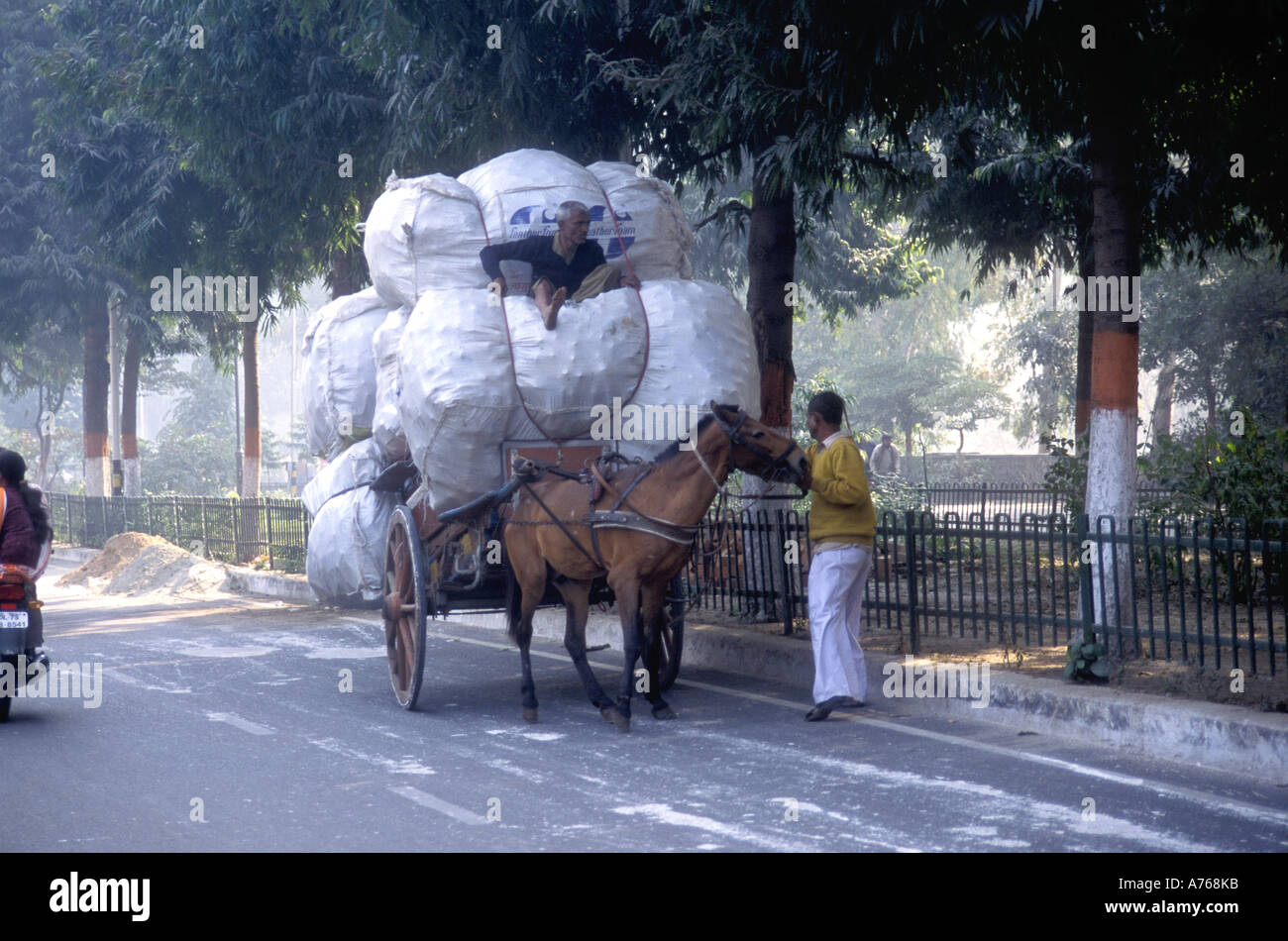 Heavily loaded horse and cart Delhi India Stock Photo - Alamy