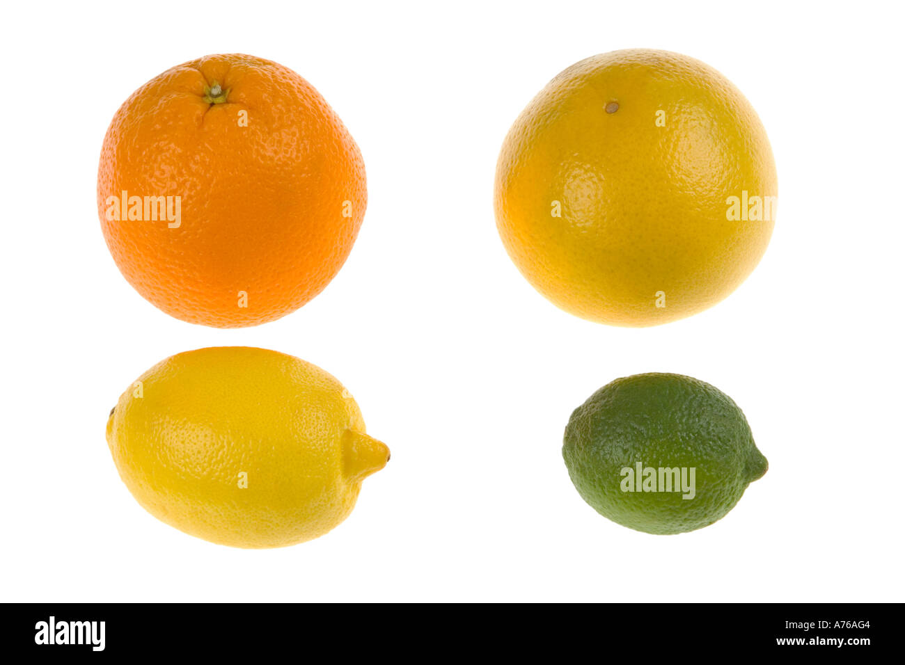 Four different whole citrus fruits, orange, grapefruit, lemon and lime on a pure white background. Stock Photo