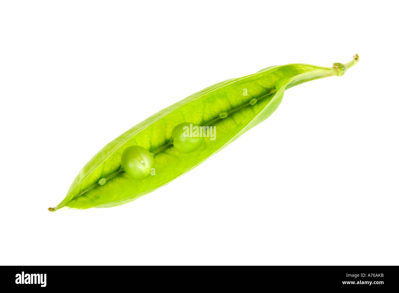 Pea pod on a pure white background (two peas in a pod). Stock Photo