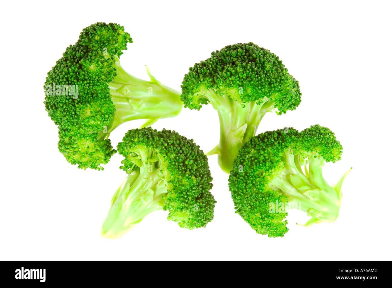 Four broccoli florets on a pure white background. Stock Photo