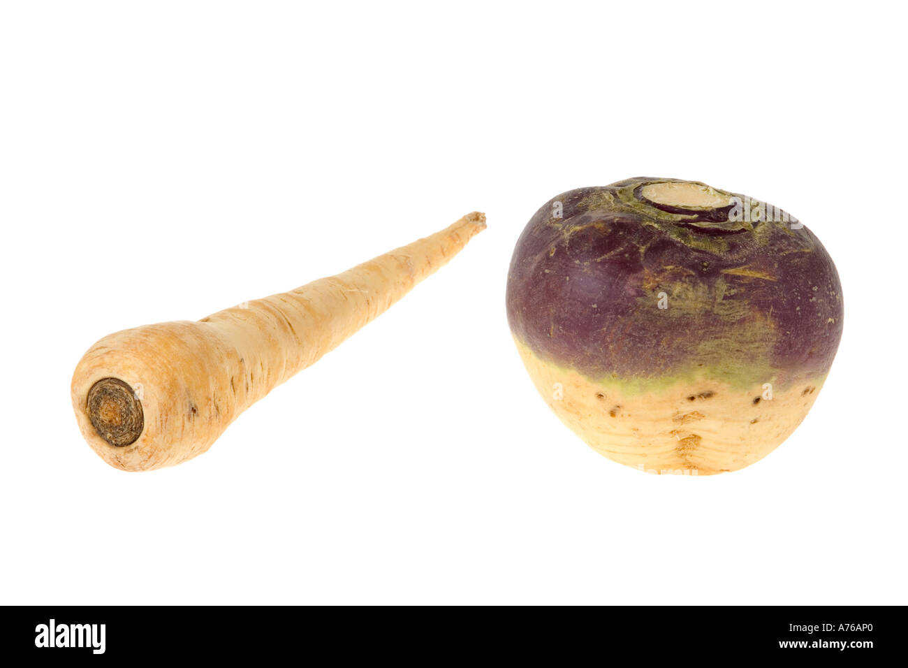 Whole turnip aka swede and parsnip on a pure white background Stock Photo Alamy