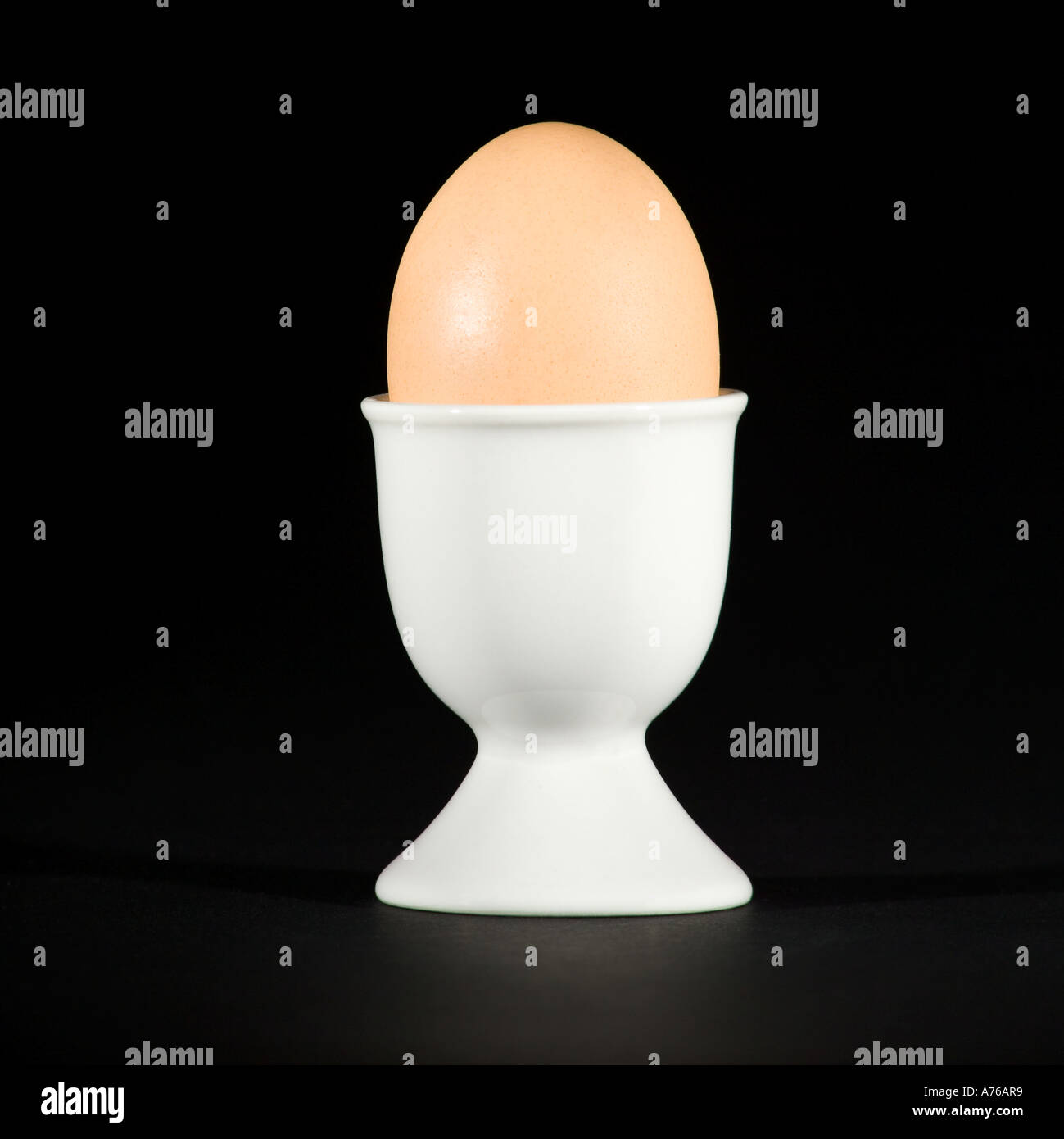 A whole boiled egg in a white eggcup on pure black background Stock