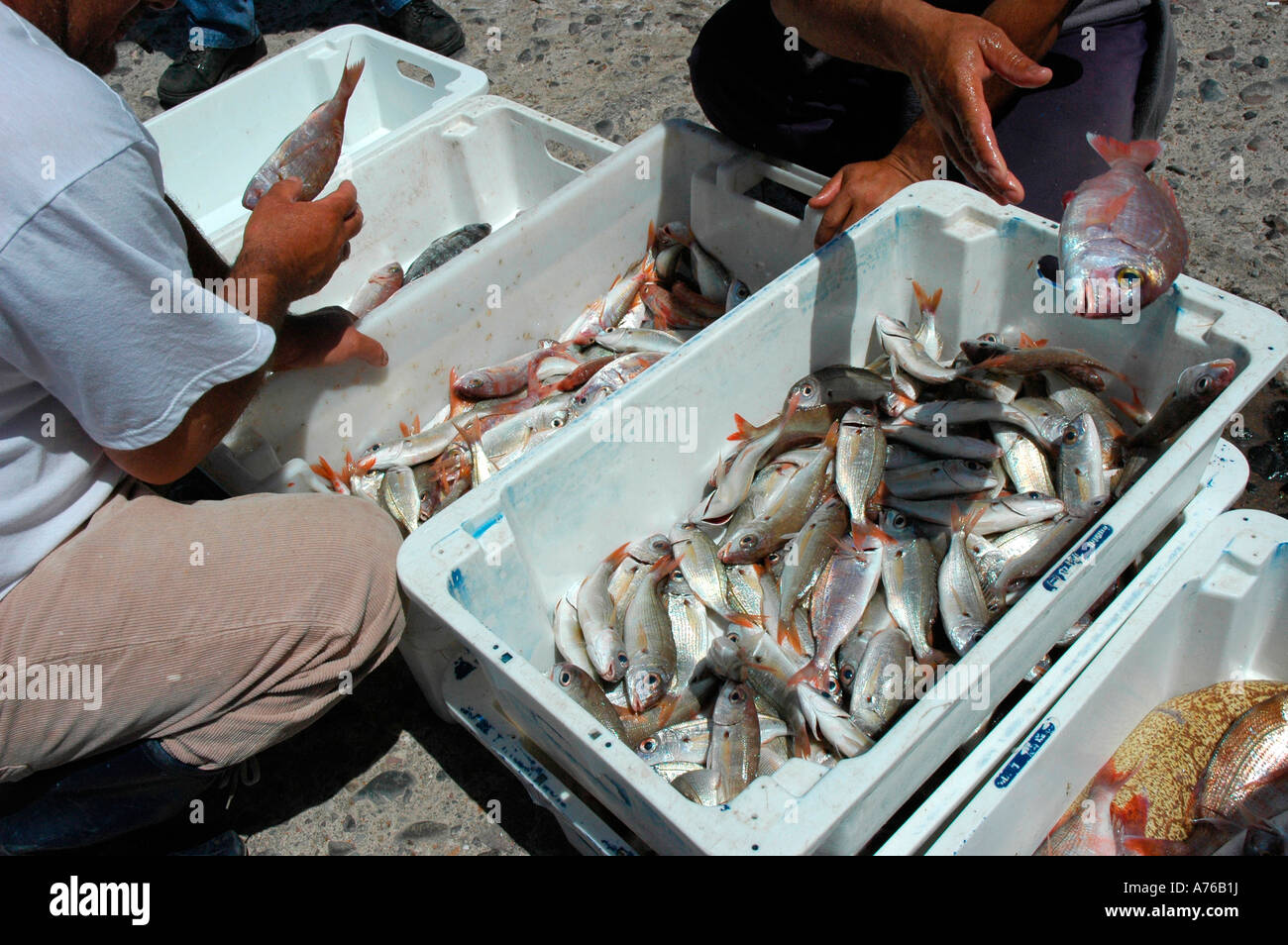 Fishing in la Aldea de San Nicolas de Tolentino GRAN CANARIA Canary Islands Spain Stock Photo