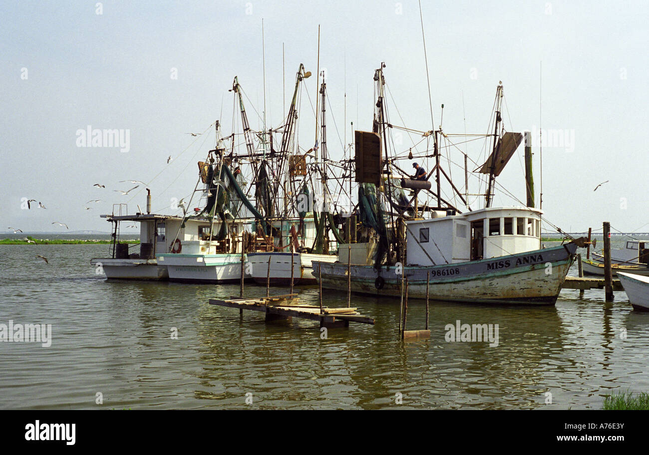 Fishing Boats, Apalachicola Florida, USA Stock Photo Alamy