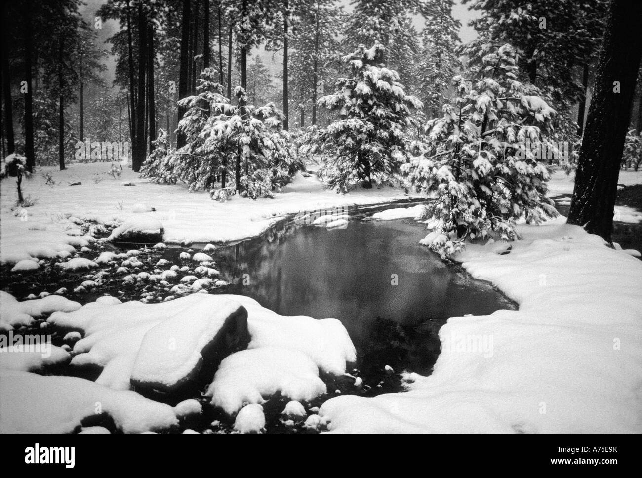 Winter Scene, Arizona, 1995 Stock Photo