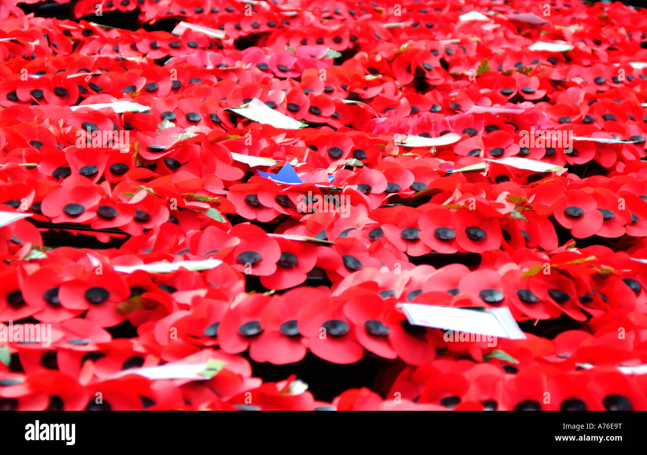 Poppy wreaths on the Cenotaph on Remembrance Day 2006 in London Stock ...