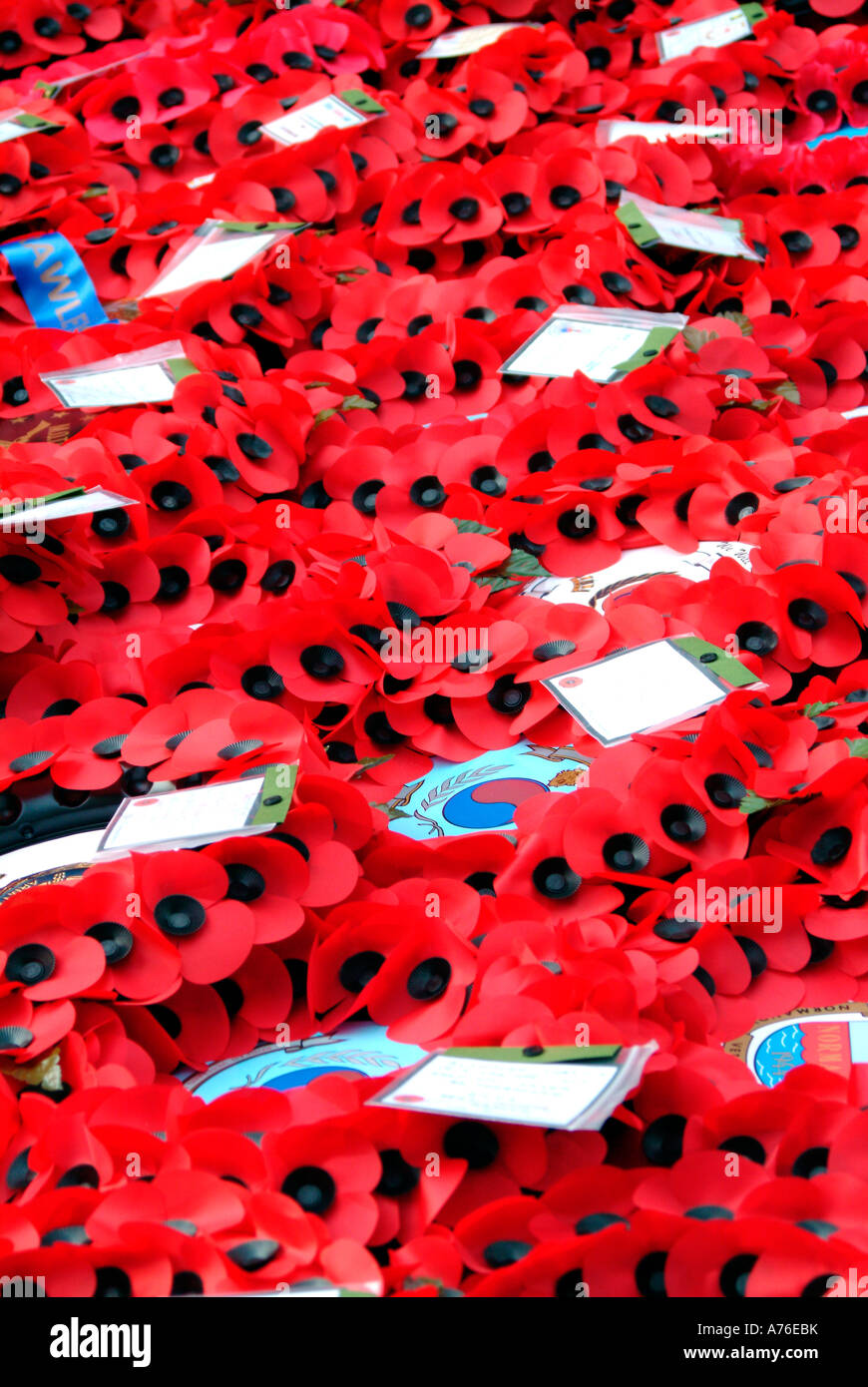 Poppy wreaths on the Cenotaph on Remembrance Day 2006 in London Stock ...