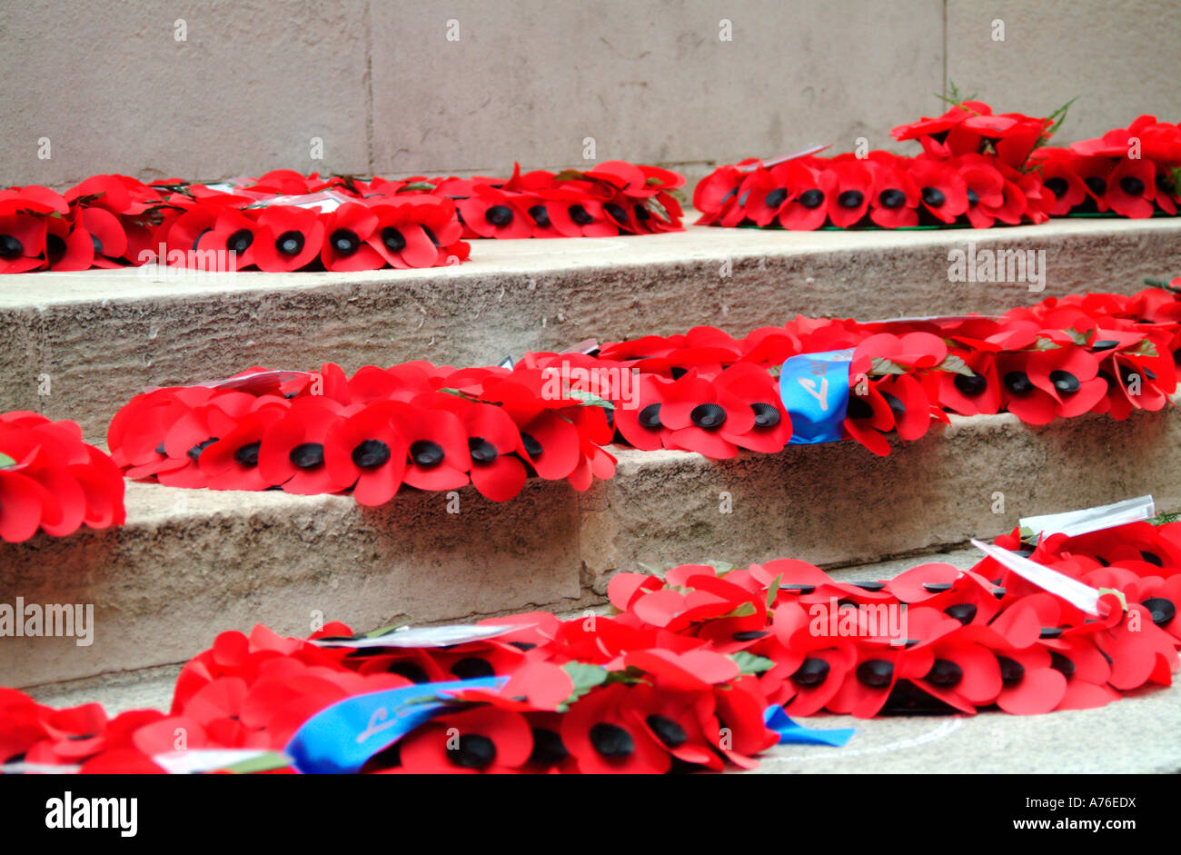Poppy wreaths on the Cenotaph on Remembrance Day 2006 in London Stock ...