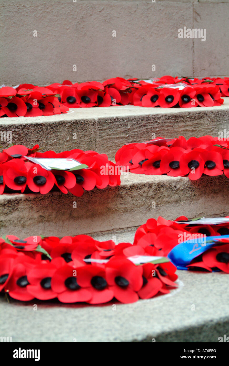 Poppy wreaths on the Cenotaph on Remembrance Day 2006 in London Stock ...