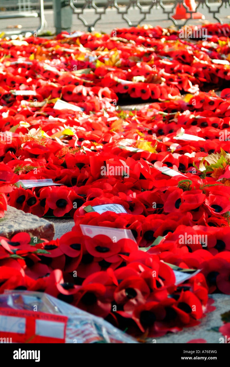 Poppy wreaths on the Cenotaph on Remembrance Day 2006 in London Stock ...
